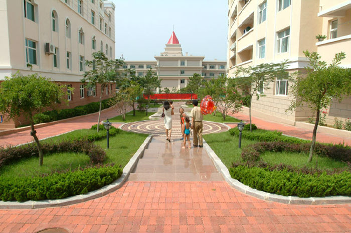 S53KT2J299R36P1VJWRT50 S53KT2J299R36P1VJWRT50